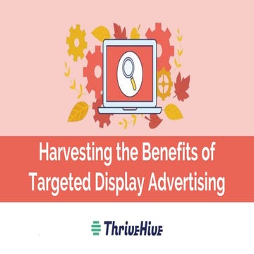 Harvesting The Benefits of Targeted Display Advertising