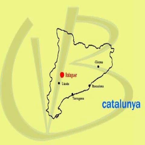 Novembre 2012 festa major (3)