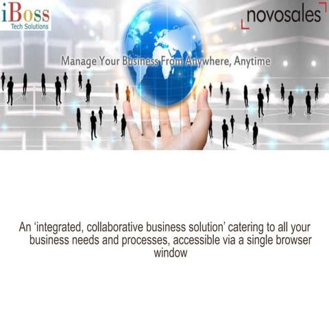 Novosales - Capability statement