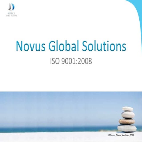 Novus Consulting Services