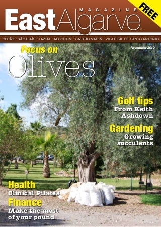 When Aeonium Types With Pictures Competitors Is Sweet