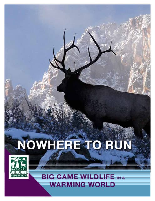 Nowhere to Run: Big Game Wildlife i...