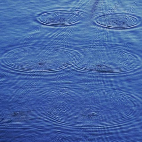 No wledge brabant academy