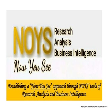 NOYS brief business slides