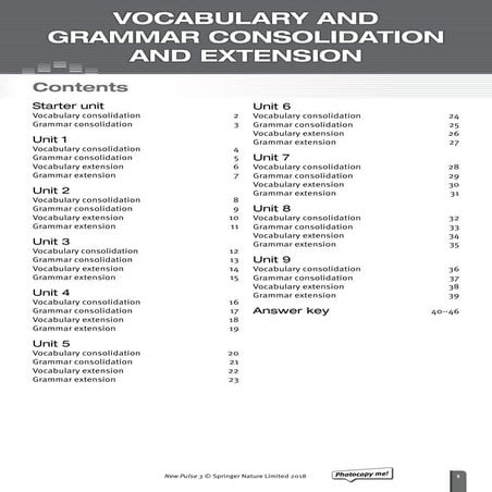 Vocabulary and_grammar_consolidation_and_extension_worksheets | PDF