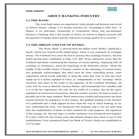 N pa finance project