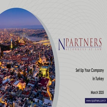Navigating Turkish Business Registration | PDF