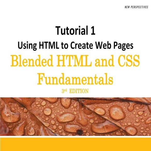 Using HTML to Create Web Pages | PPTX
