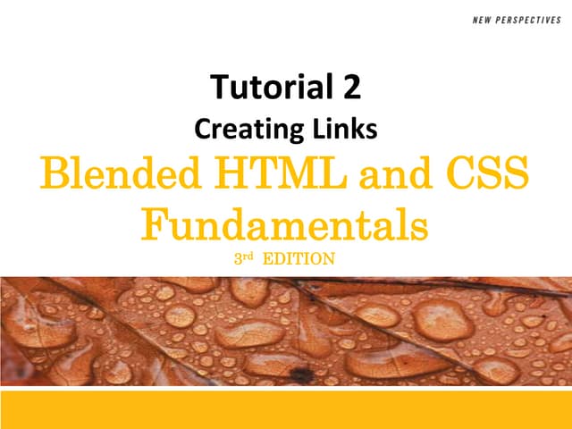 Creating Links
