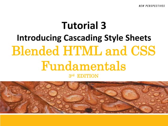 Introducing Cascading Style Sheets | PPT