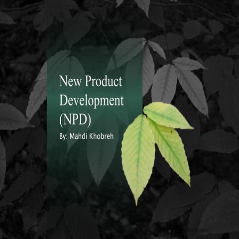 New Product Development (NPD) 