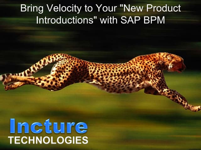 New Product Introduction with BPM