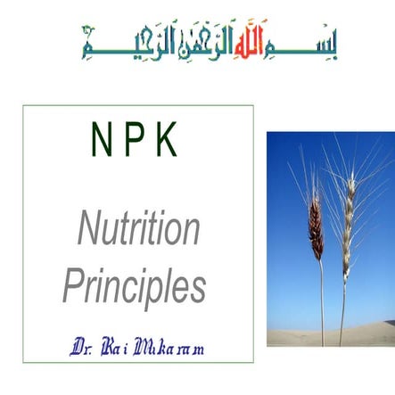 Npk.ppt 1