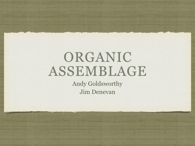 Organic Assemblage S16