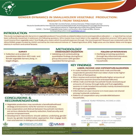 Gender dynamics in smallholder vegetable production: Insights from Tanzania
