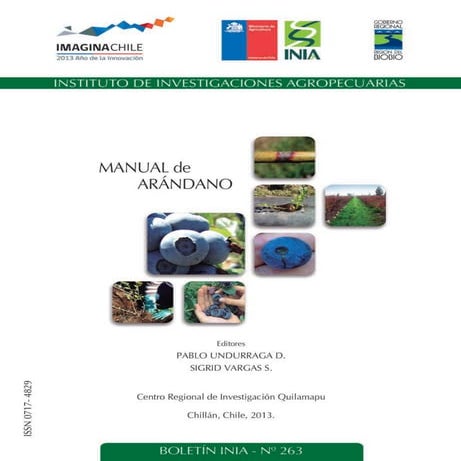 MANUAL DE ARANDANO
