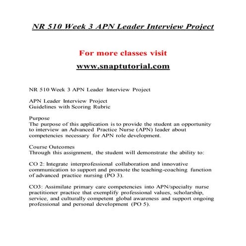 APN Leader Interview ProjectGuidelines with Scoring RubricPurp.docx