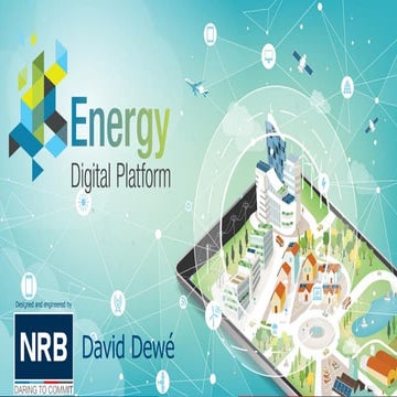 NRB Sap Day 03/10/2019 - Energy digital platform - David Dewe