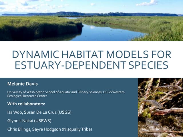 Dynamic Habitat Models for Estuary-Dependent Species
