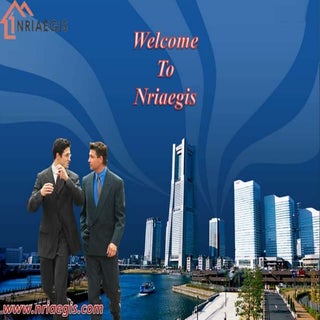 NRI Services 