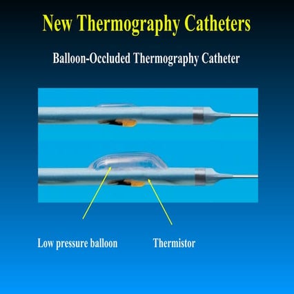 New thermography catheters