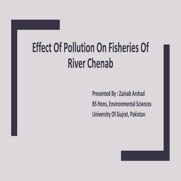 Effect Of Pollution On Fisheries Of River Chenab
