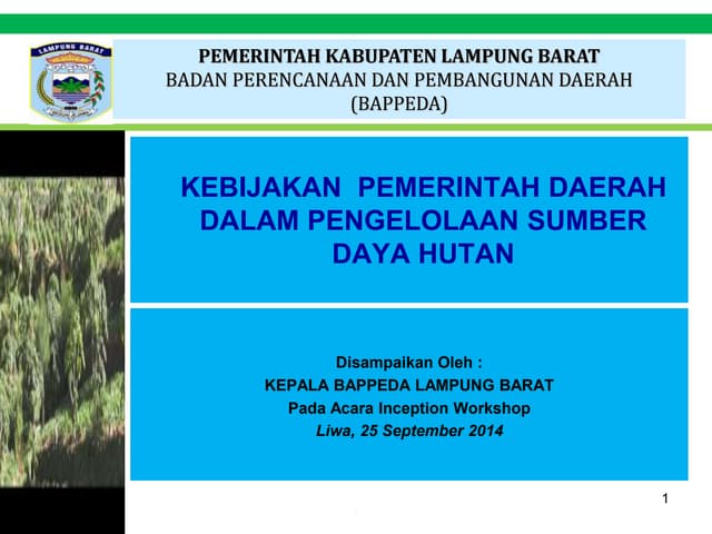 Kebijakan Pemerintah Daerah Dalam Pengelolaan Sumber Daya Hutan