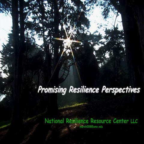 Nrrc promising resilience perspectives 7 2013 f