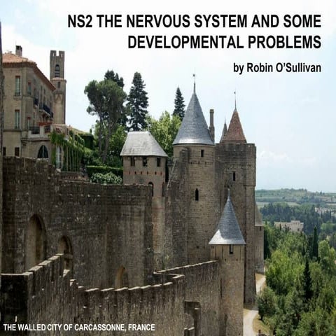 Ns2. The Nervous System And Some Developmental Problems. Compressed File