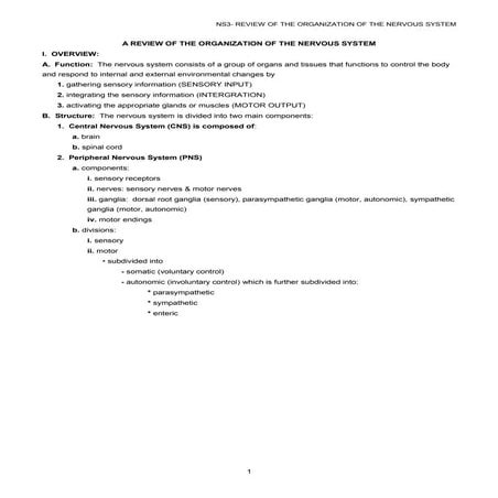 Ns3 Review Of The Organization Of The Nervous System