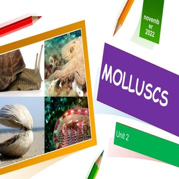 Q2 Module 3Two Classifications of Shellfish.pptx