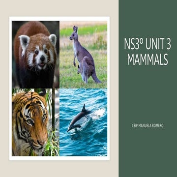 NS3 Unit 3 Mammals.pptx