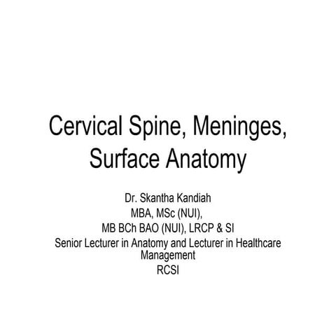 Ns4 Cervical Spine Cords And Nerves