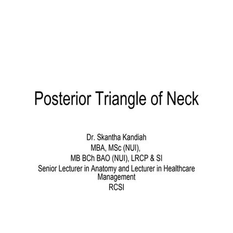 Ns6 Posterior Triangle Of Neck