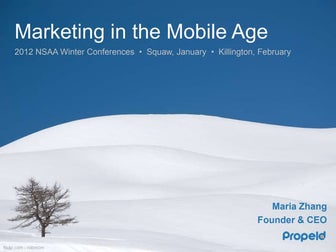 Marketing in the Mobile Age