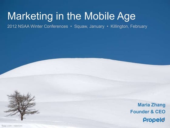 Marketing in the Mobile Age