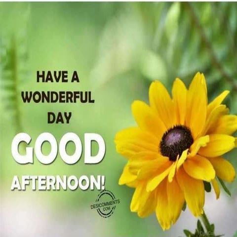 Non-Steroidal Anti-inflammatory Drugs ( NSAIDs) PART II  PROF SATYA  2019