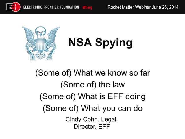 NSA Mass Spying and the Law