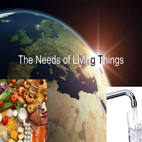 Living Things and the Environment.pptx Grade 3 Science | PPTX