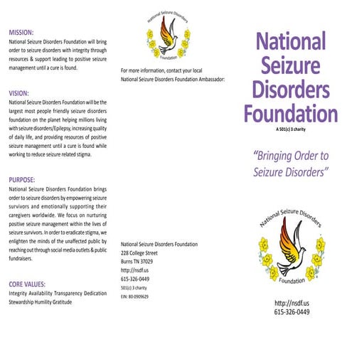 Nsdf intro bro 2014 (1)