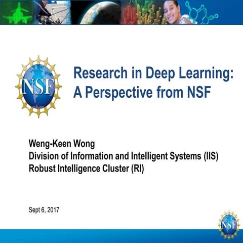 Research in Deep Learning: A Perspective from NSF