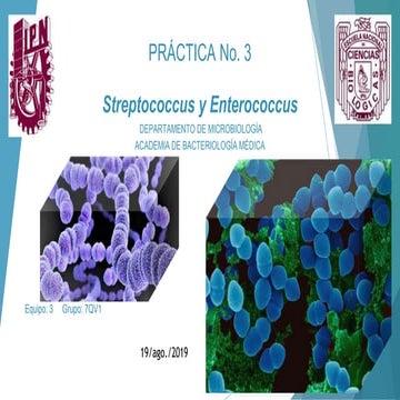 Streptococcus y Enterococcus