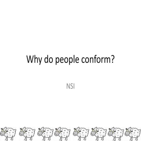 Nsi | PPT