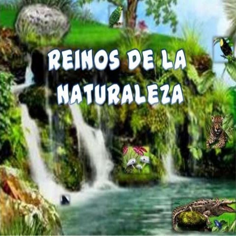 Presentacion de la naturaleza | PPTX
