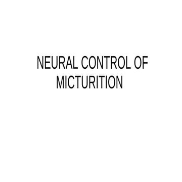 Neural Control of Micturition