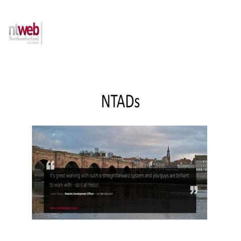 NTAds Overview