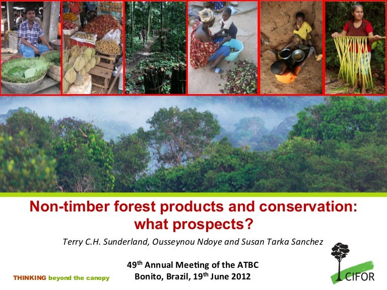 Nontimber forest products and conservation what prospects?