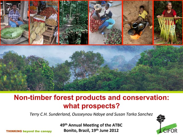 Non-timber forest products and conservation: what prospects?