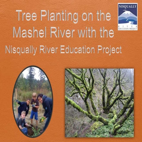 Pre-trip Planting Presentation- Anderson Version