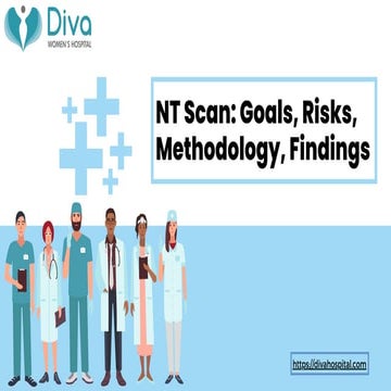 NT Scan Goals, Risks, Methodology, Findings.pdf